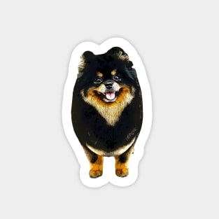 Pomeranian Black and Tan Puppy Dog Sticker